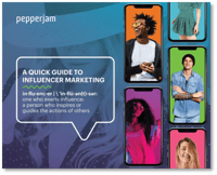 Influencer eBook Snapshot