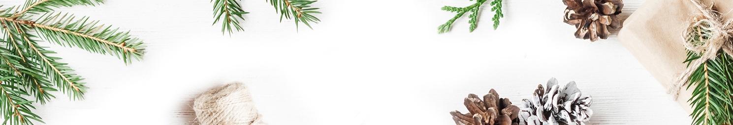 Holiday Webinar LP Header