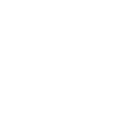 report ico copy