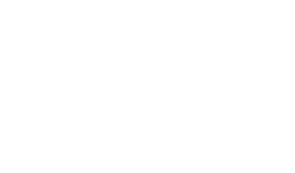 webinar ico copy